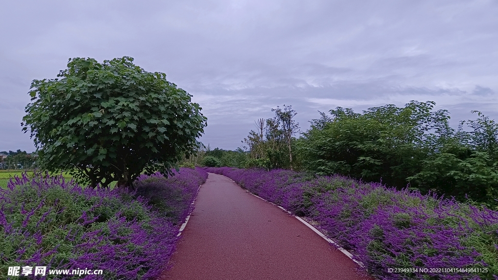 公路