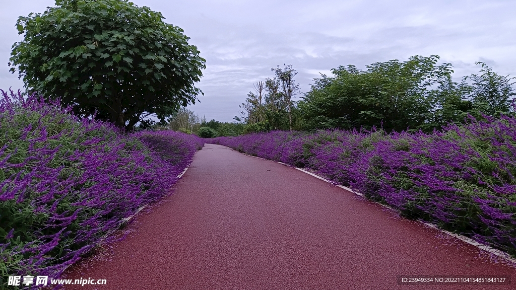 公路
