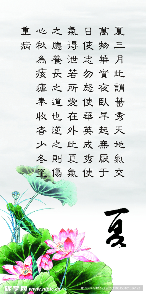 夏季养生展板