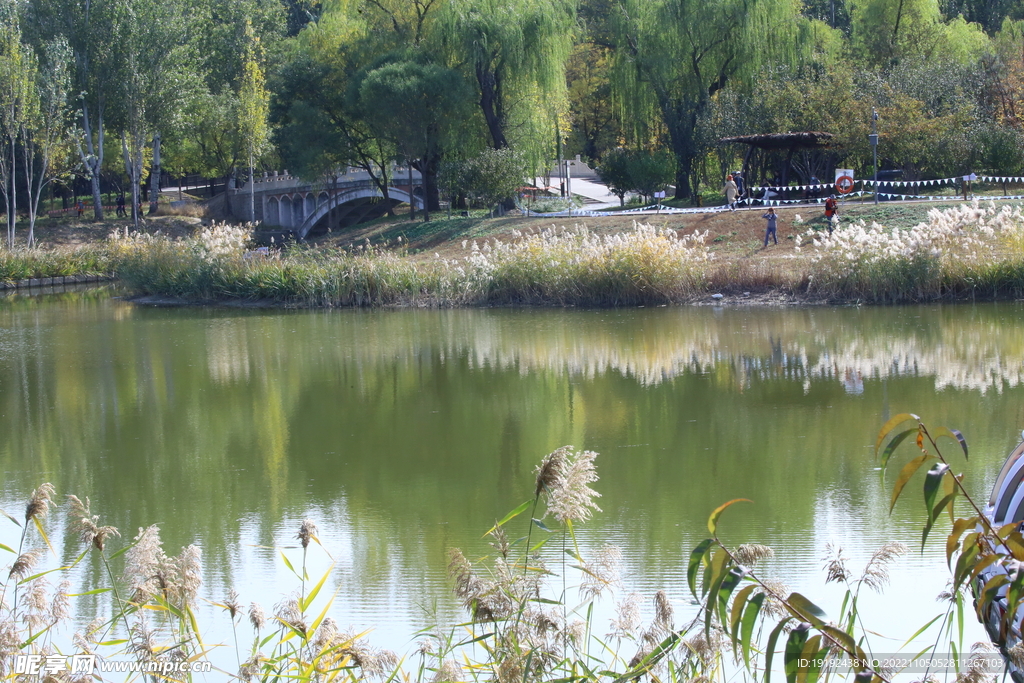 龙潭中湖风景