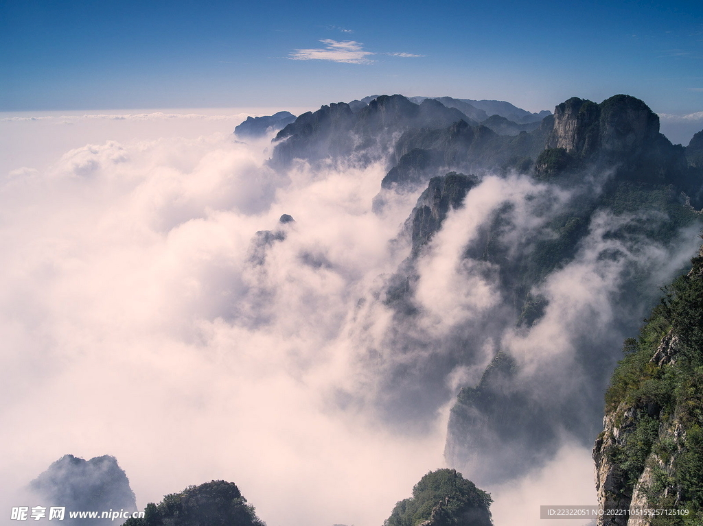 风景