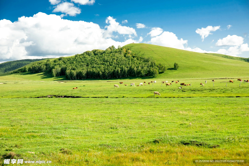 内蒙乌兰布统草原