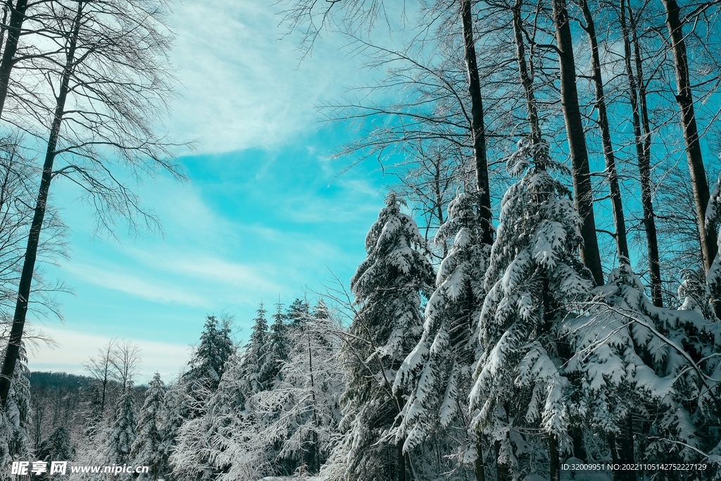 雪景             