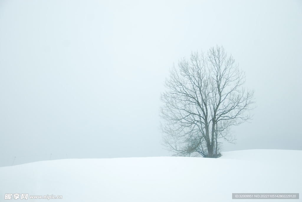 雪景             