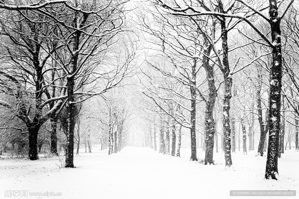 雪景             