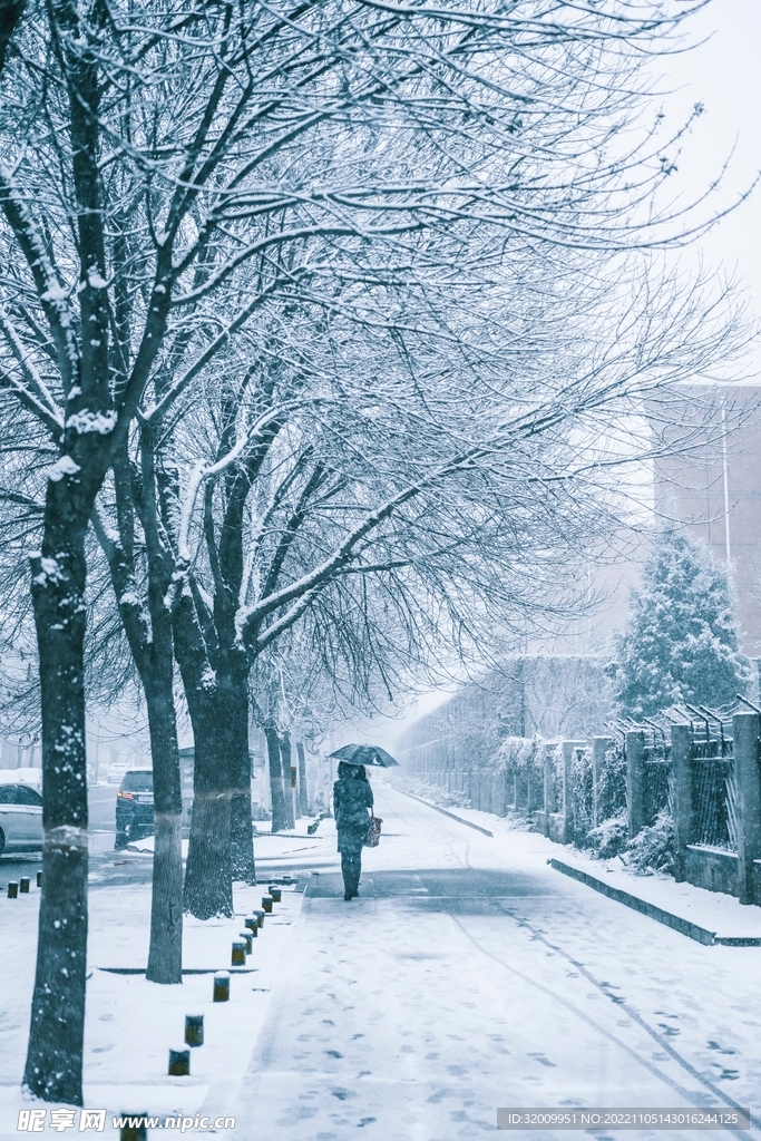 雪景             