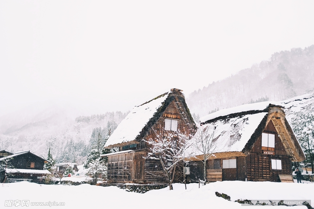 雪景             