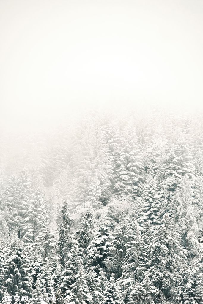 雪景             