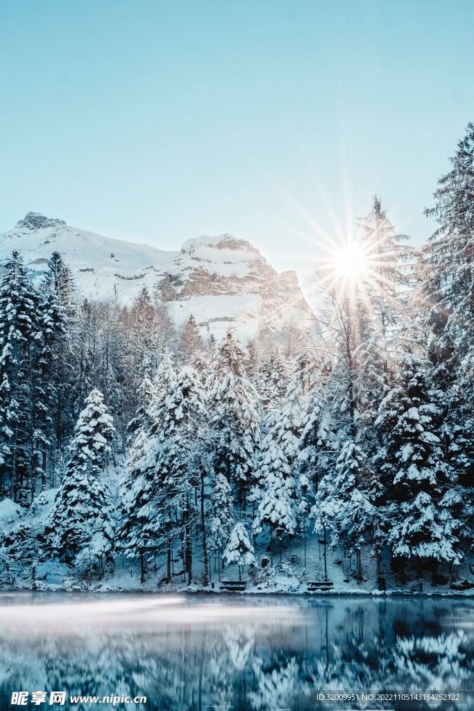 雪景             