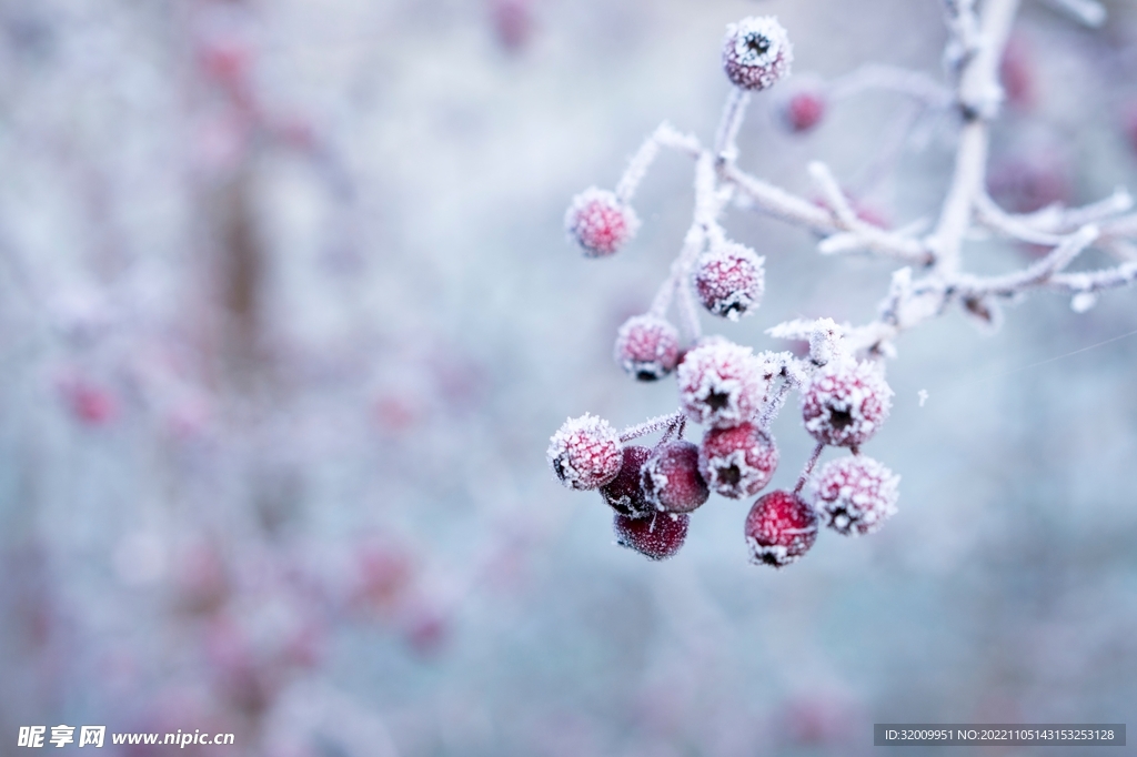 雪景             
