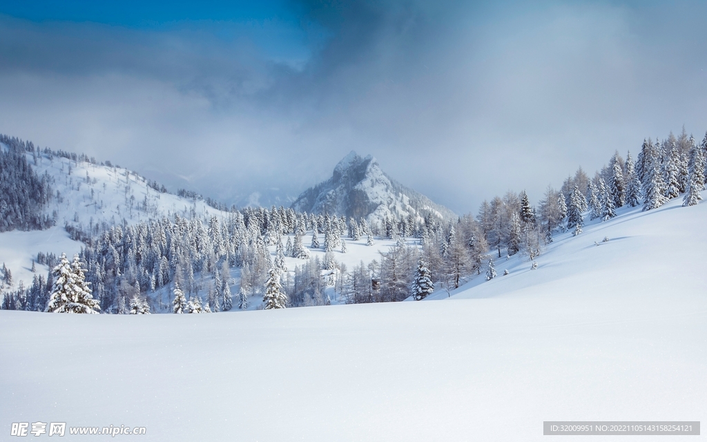 雪景             
