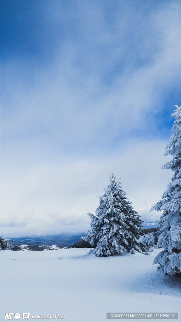 雪景             
