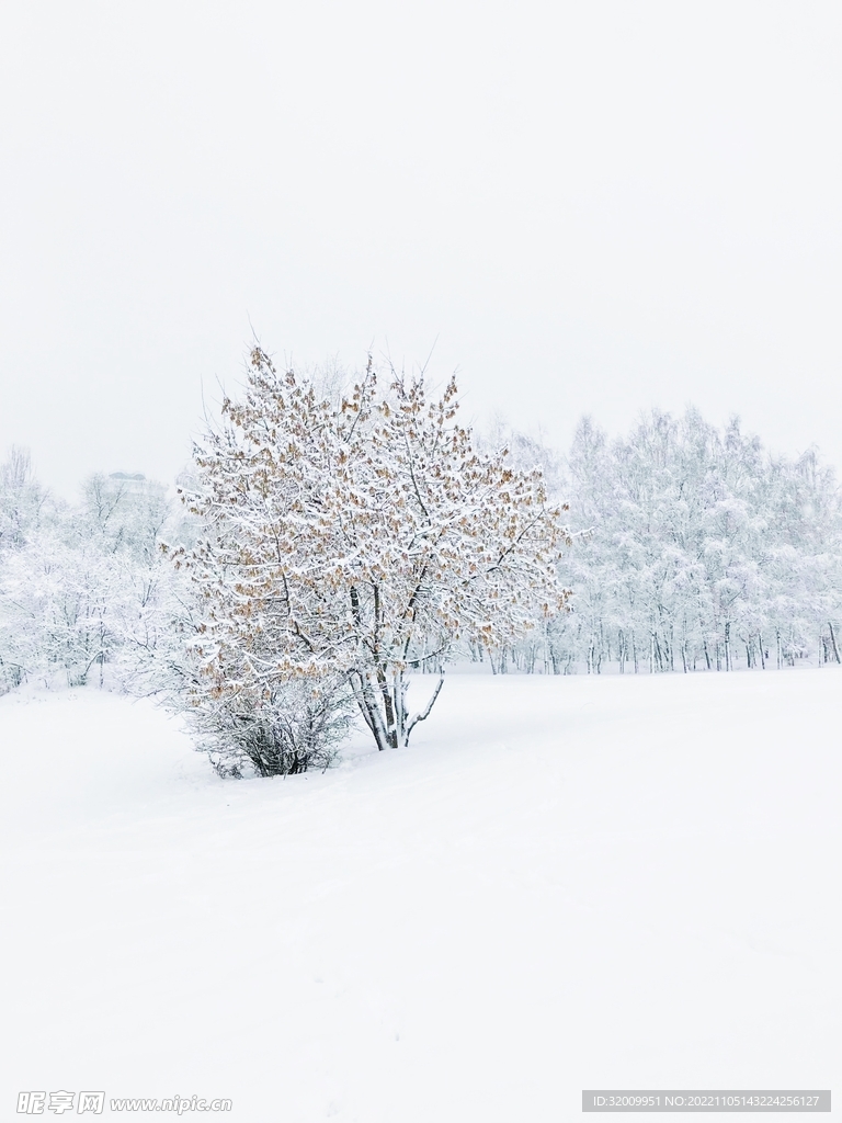雪景             