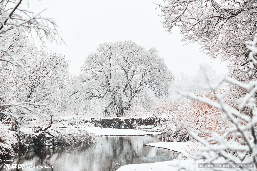 雪景             