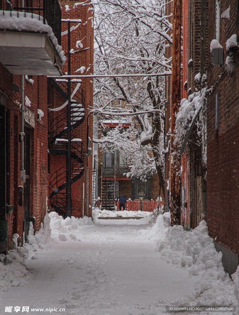 雪景             
