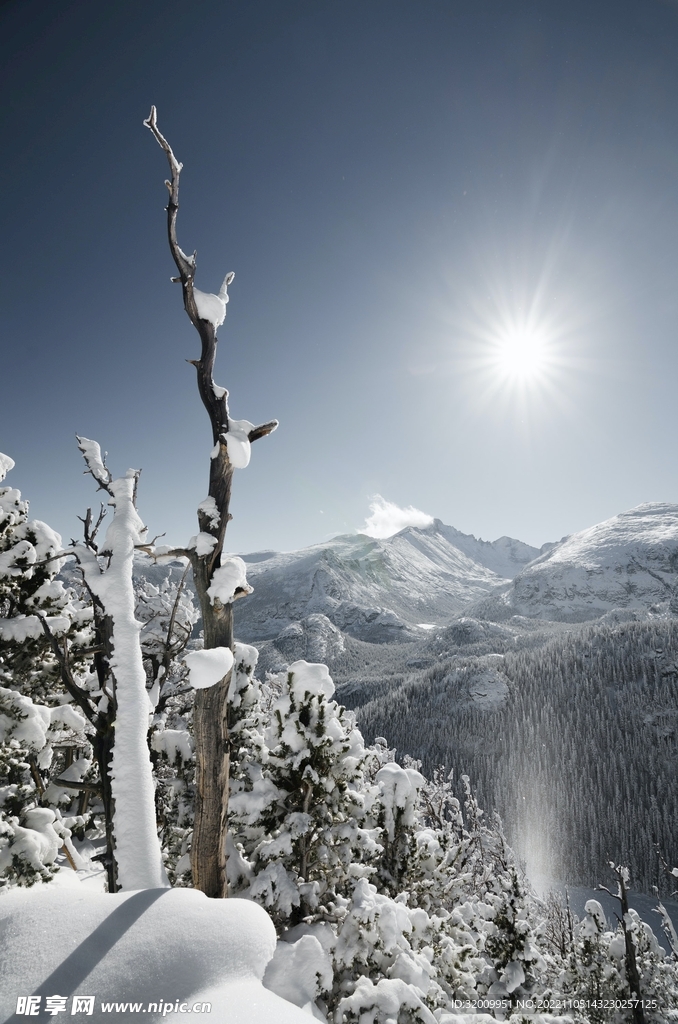 雪景             