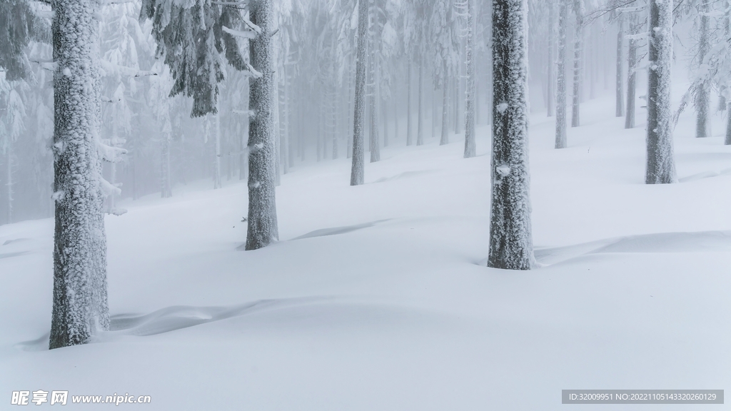 雪景             