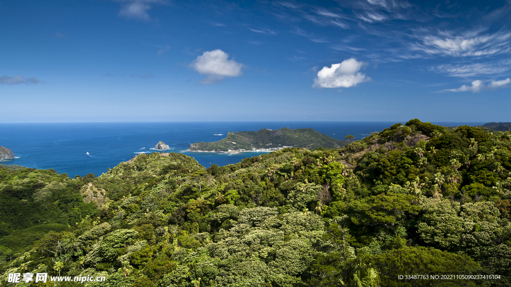 小笠原群岛