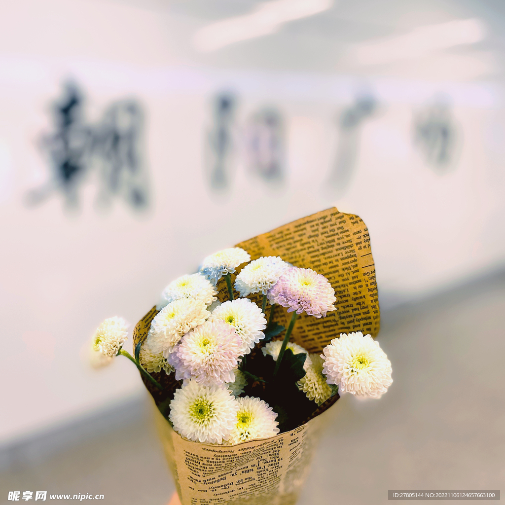 小菊花