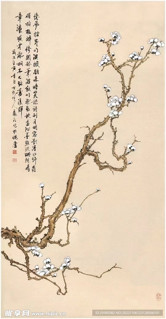 梅影