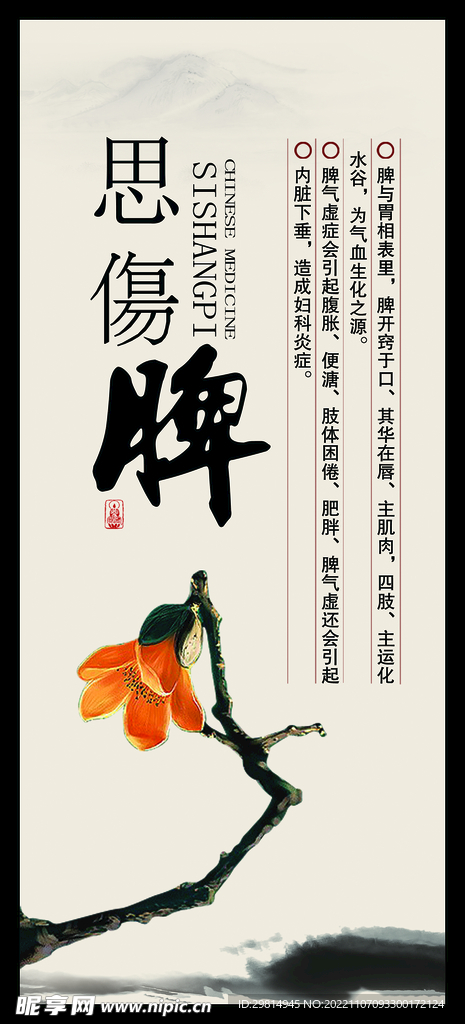 脾