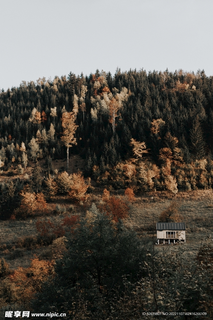山间