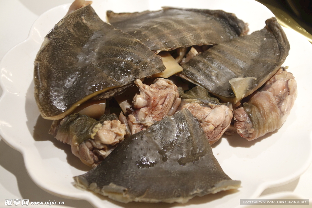 甲鱼火锅