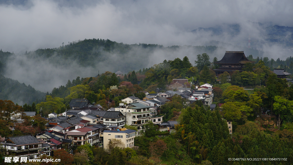 吉野  