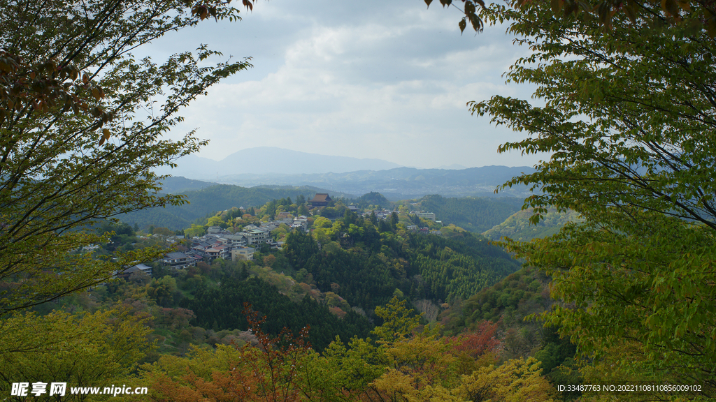吉野  