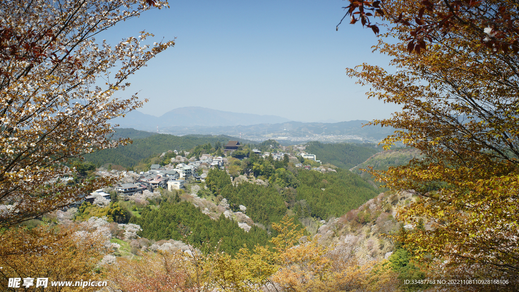 吉野