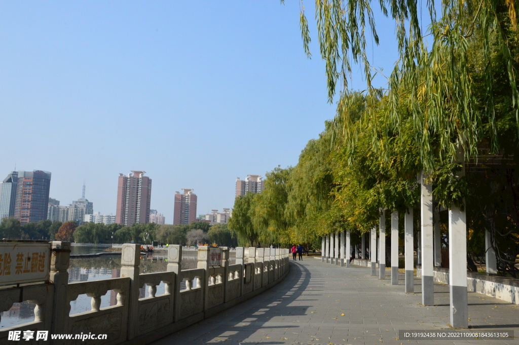 莲花池风景 