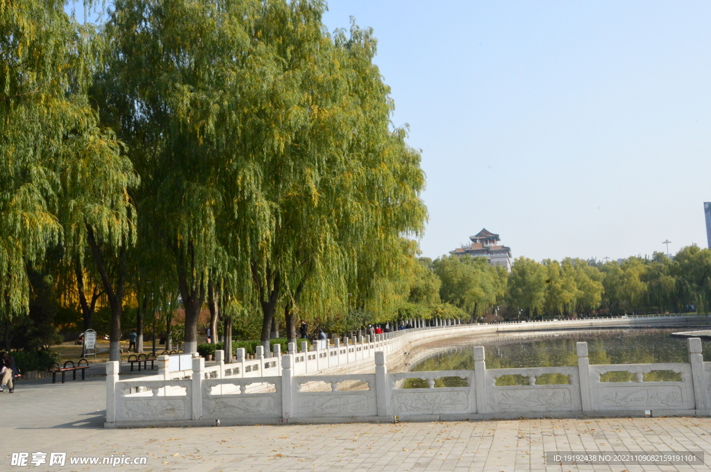莲花池风景 