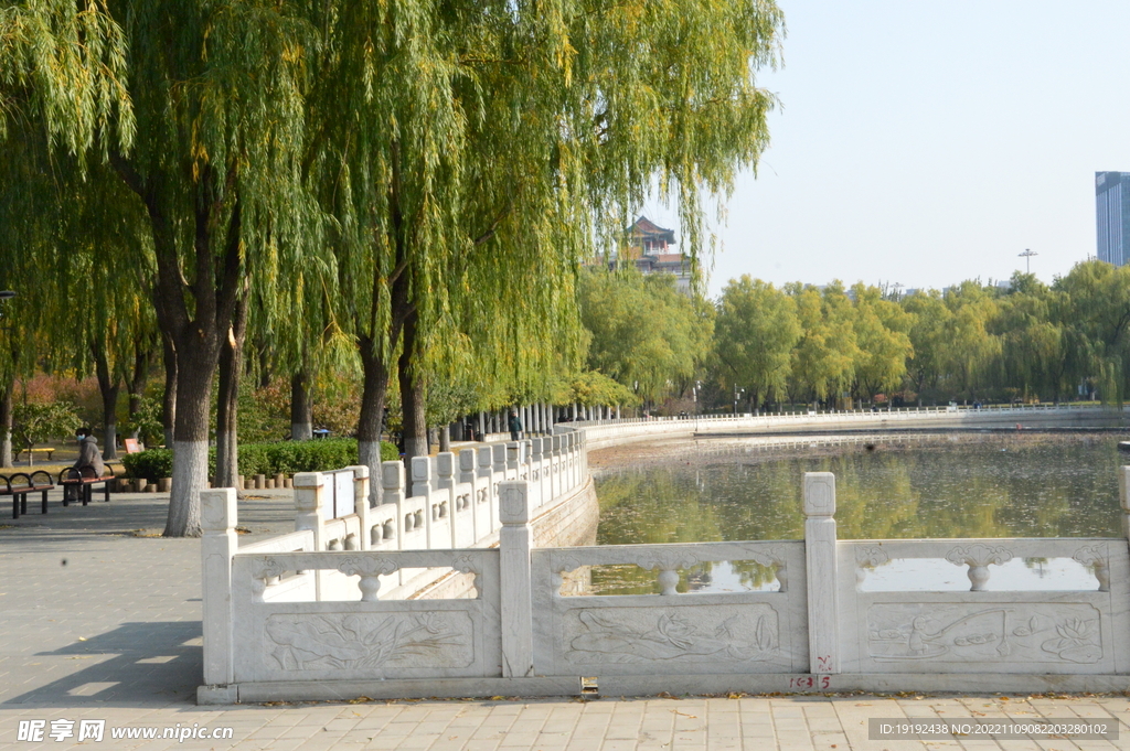 莲花池风景