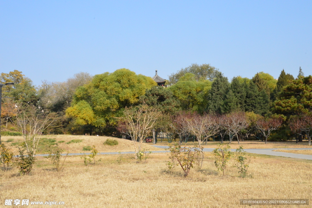 莲花池风景 