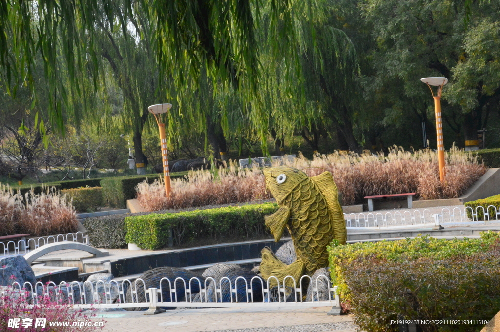 公园风景  