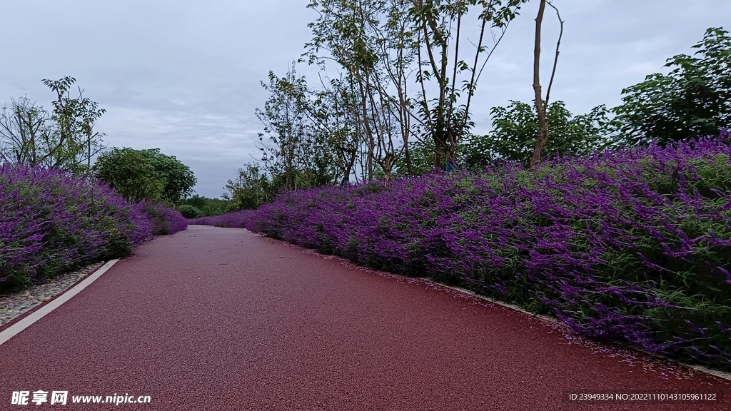 公路
