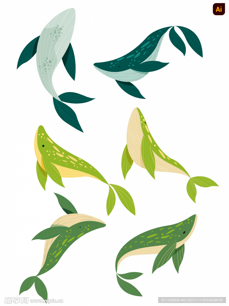 鲸鱼插画