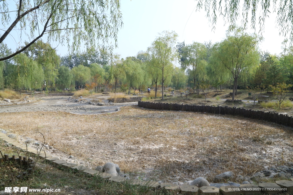 公园风景  