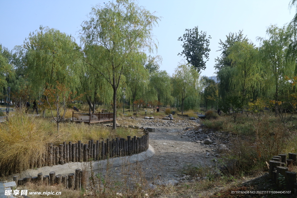 公园风景  