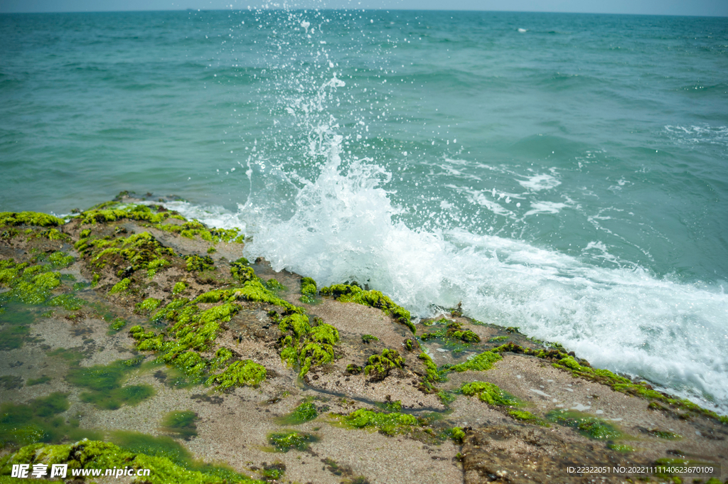 浪花