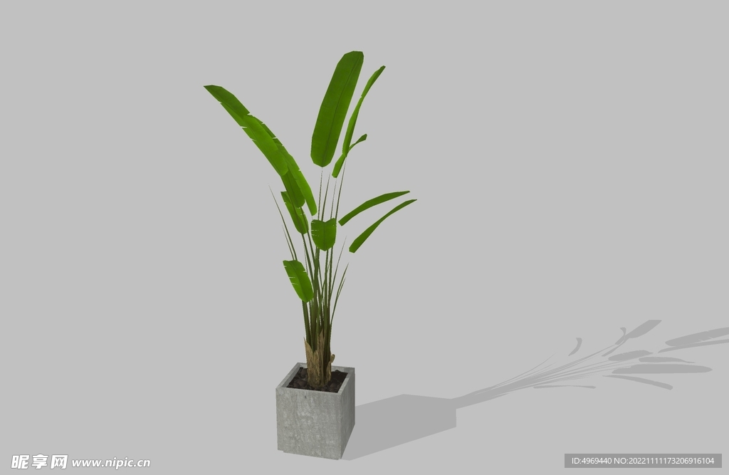 绿植盆栽su模型