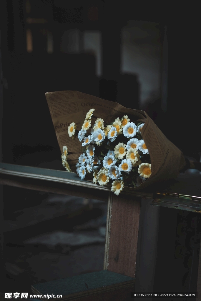 小雏菊