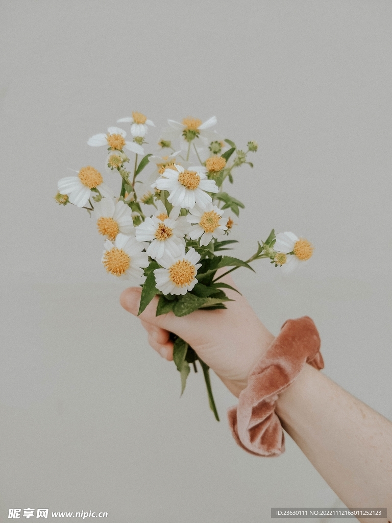 一捧鲜花