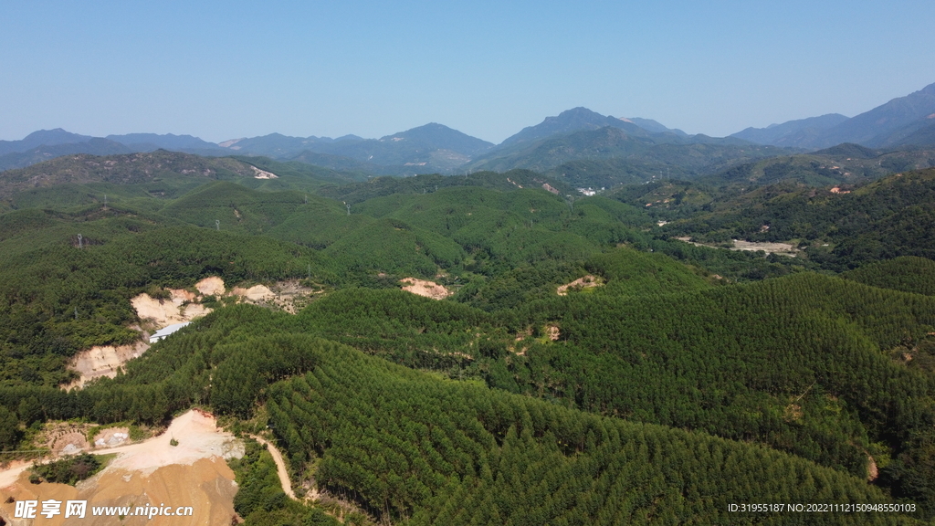 山