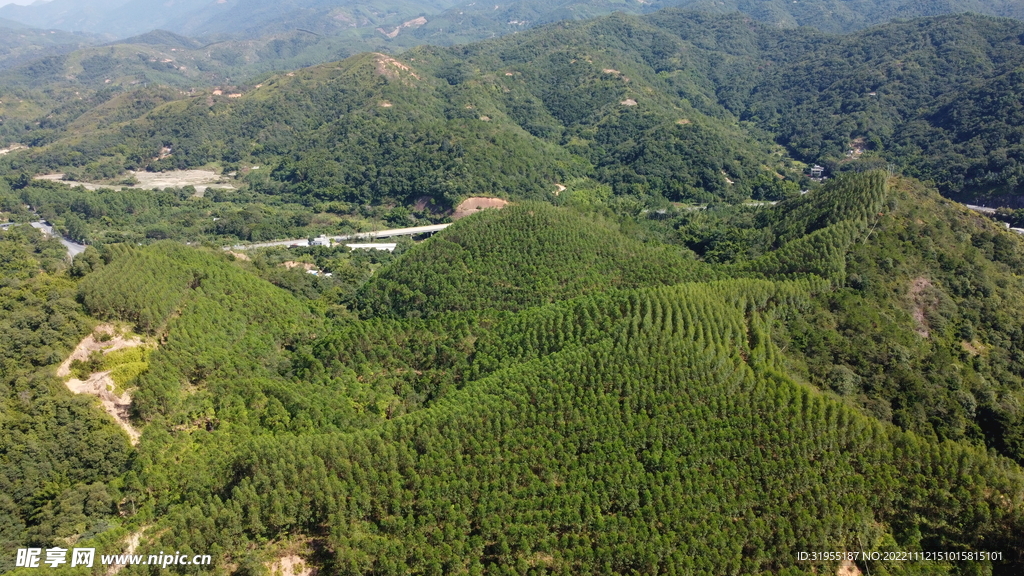 山