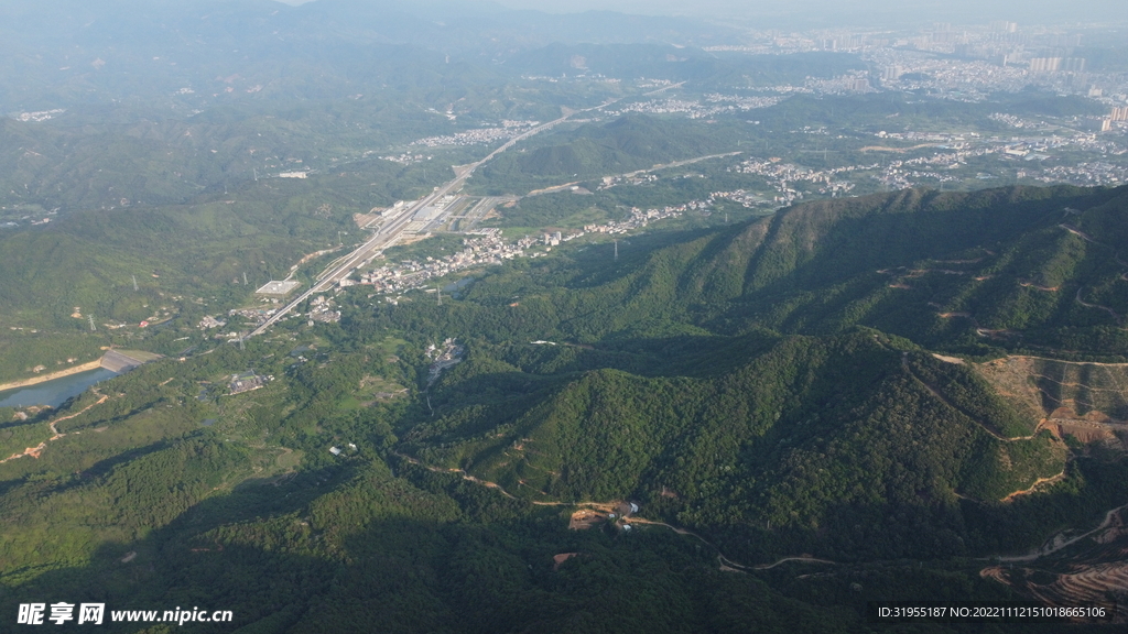 山