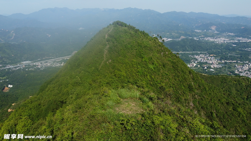 山