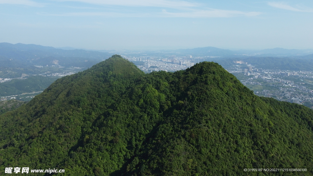 山