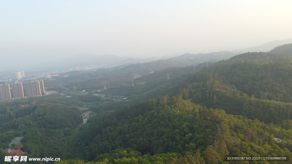 山