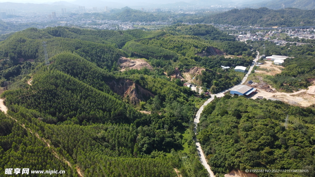 山